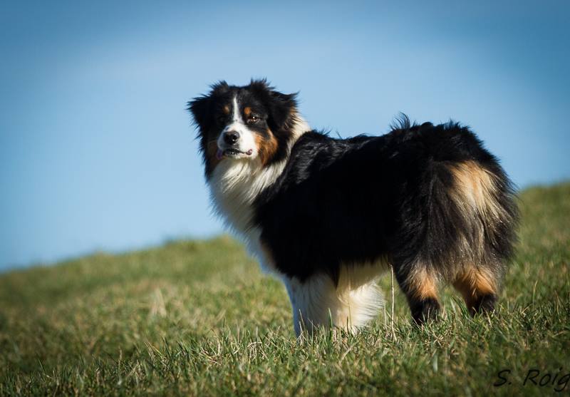 10400801_10206276759142456_5606032826600401026_n