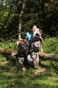 solenne roig éleveuse de chiens berger australien et berger islandais