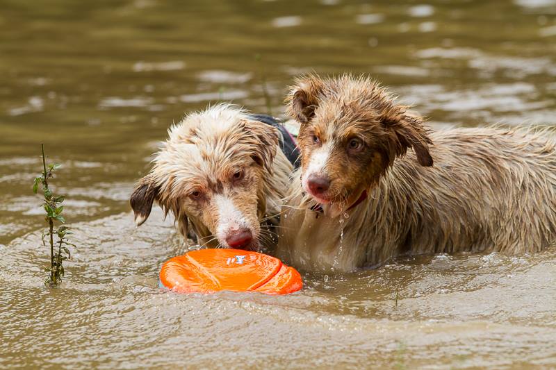 13754418_10207360361951849_7724208304417918573_n