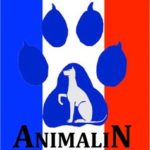 Animalin Catherine Collignon Clicker training