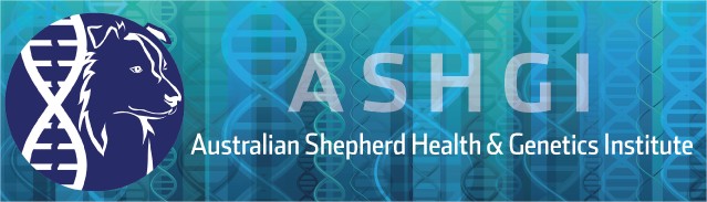 Australian Sheperd Health & Genetics Institute Australian Sheperd Health & Genetics Institute