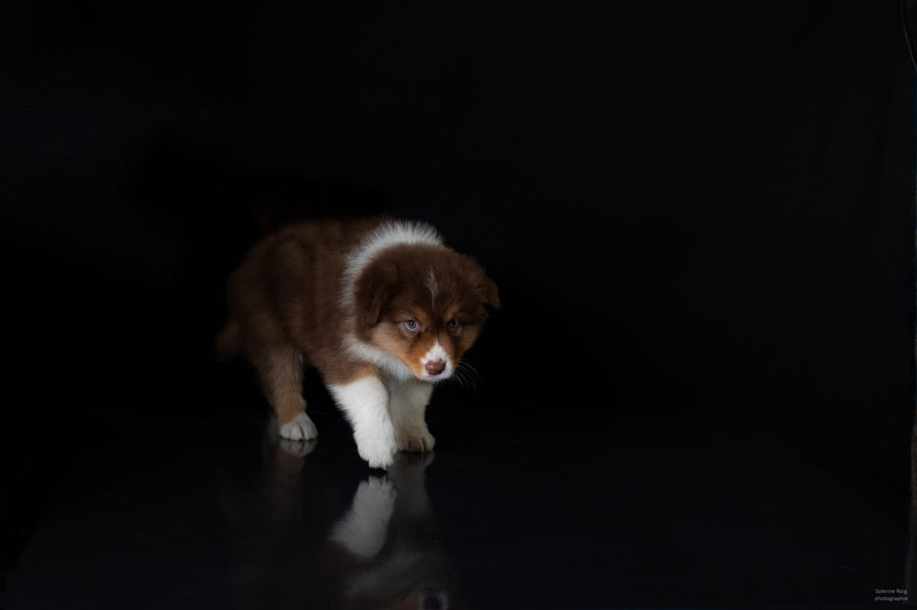 096A3723-Modifier-1024x682