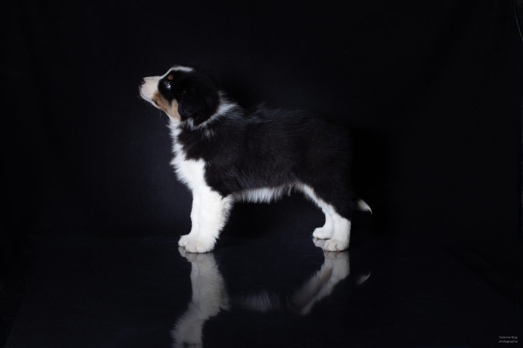 096A3740-Modifier-1024x682