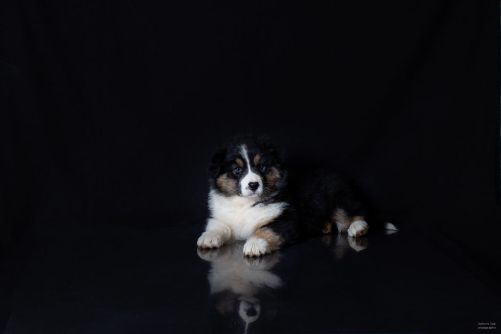 096A3754-Modifier-1024x682