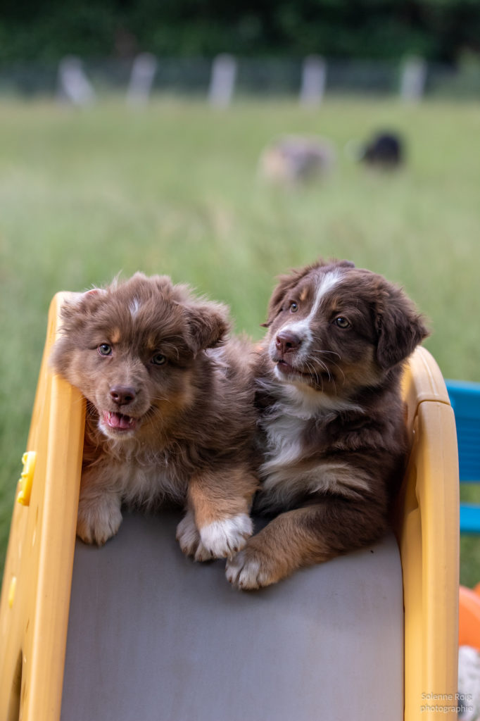 Photo-from-2022-05-25-18-33-48-682x1024