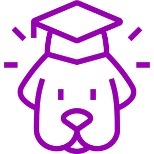 dessin chien diplomé